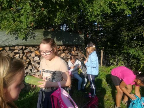 IMG 20200922 090117