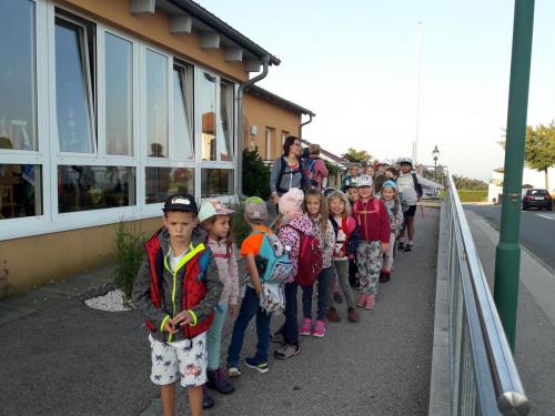 2020 21 1.2.Kl Wandertag Käfer und Wanzen (1)