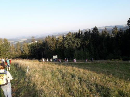 2020 21 1.2.Kl Wandertag Käfer und Wanzen (2)
